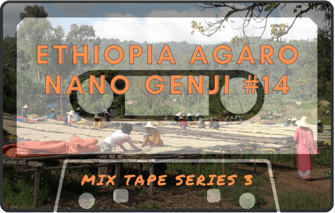 Ethiopia Agaro Nano Genji #14