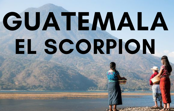 Guatemala - El Scorpion